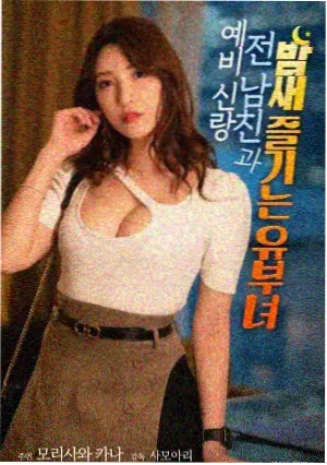 雾城档案剧集海报